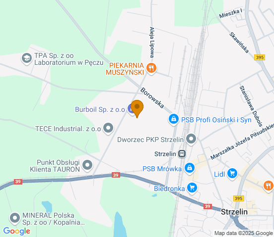 Mapa dojazdu do warsztatu samochodowego w miejscowości Strzelin