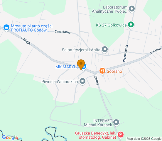 Mapa dojazdu do warsztatu samochodowego w miejscowości Godów
