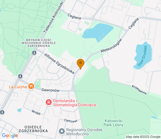 Mapa dojazdu do warsztatu samochodowego w miejscowości Katowice