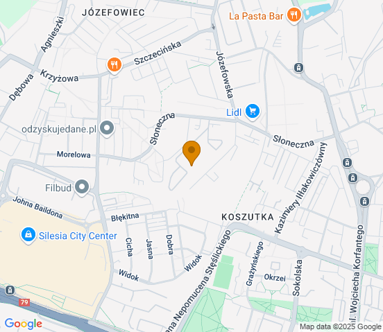 Mapa dojazdu do warsztatu samochodowego w miejscowości Katowice