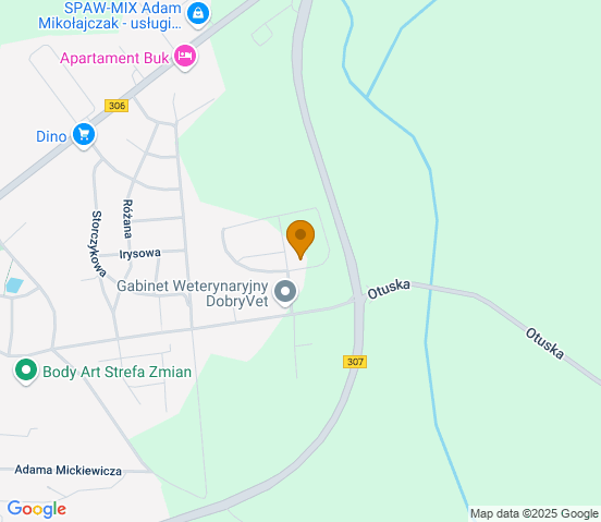 Mapa dojazdu do warsztatu samochodowego w miejscowości Buk